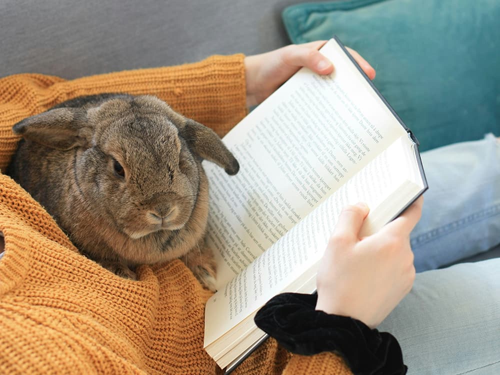 elin-melaas-DxM7YpAELug-unsplash Woman reading with a bunny
