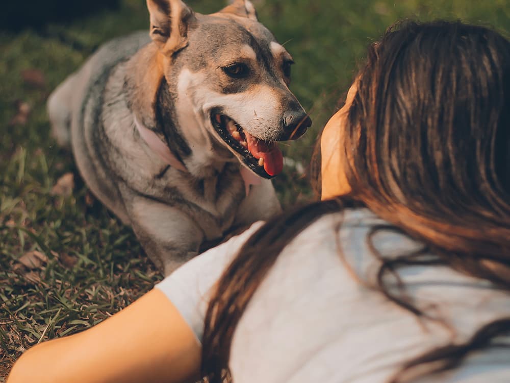 manuel-meza-jYxNsyxoKJ4-unsplash Girl and dog
